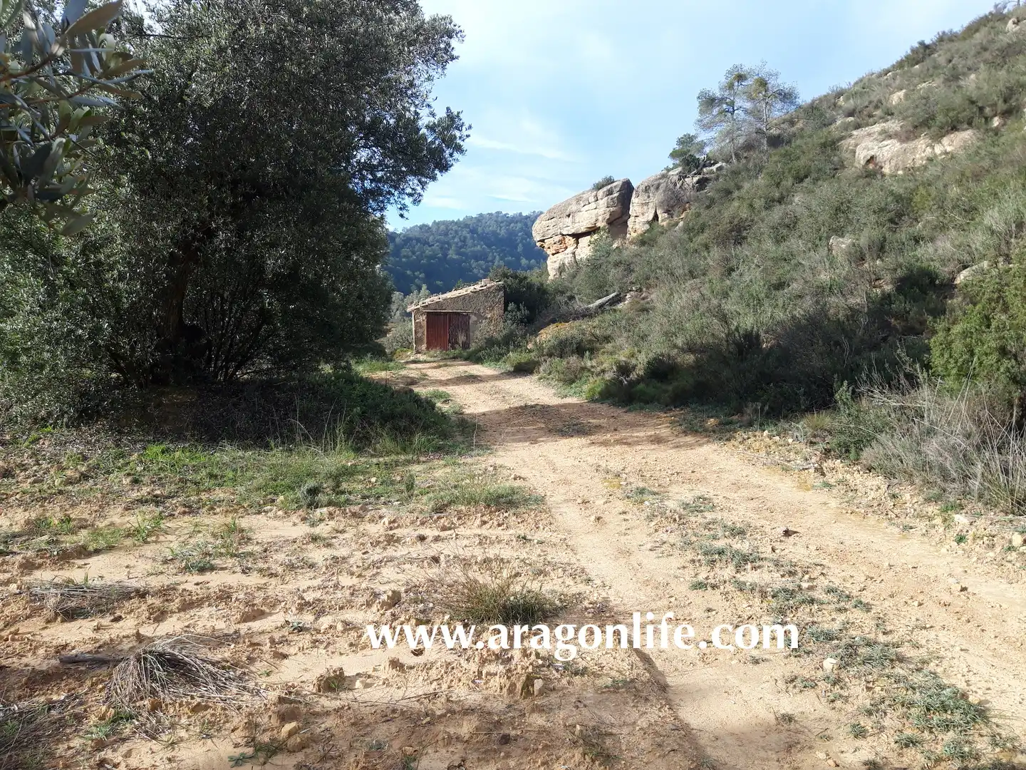 Finca rústica en venta en Batea