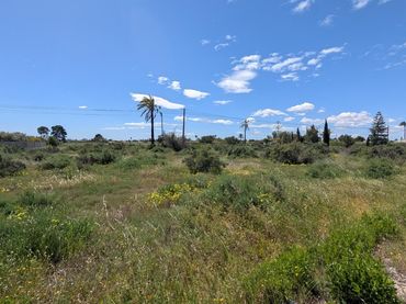 Terreno rustico in vendita a Alzabares