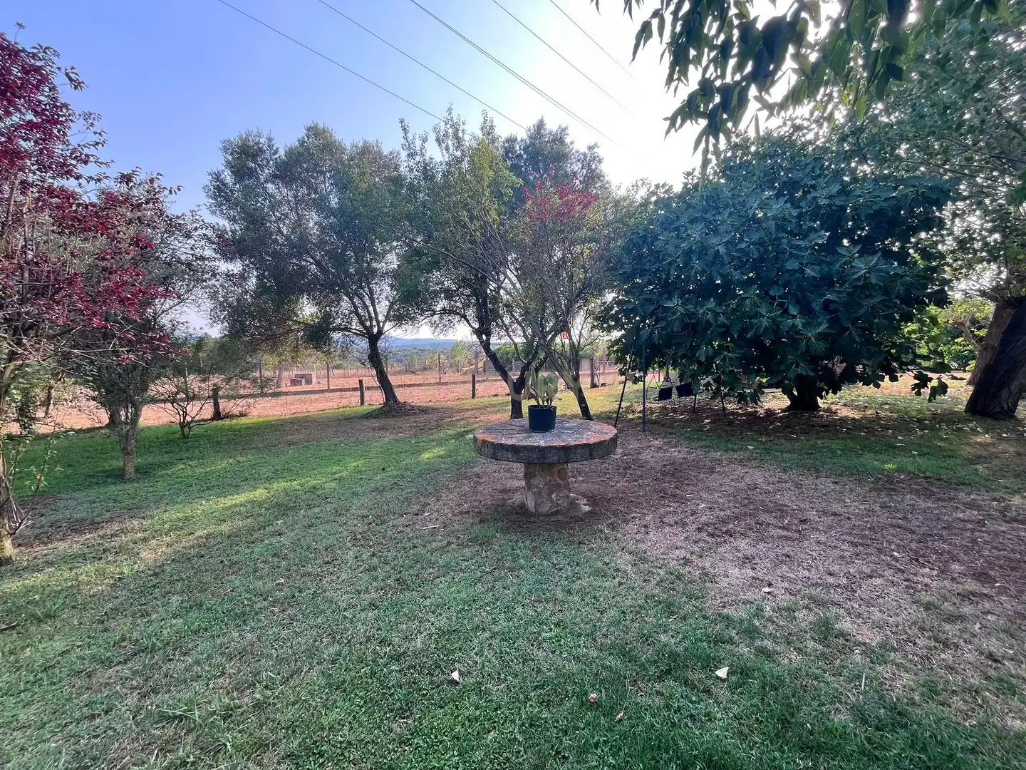 Résidentiel à vendre à LG PANEDES 2(A) Polígono 6 Parcela \1. LLAGOSTERA (GIRONA), imagen 8