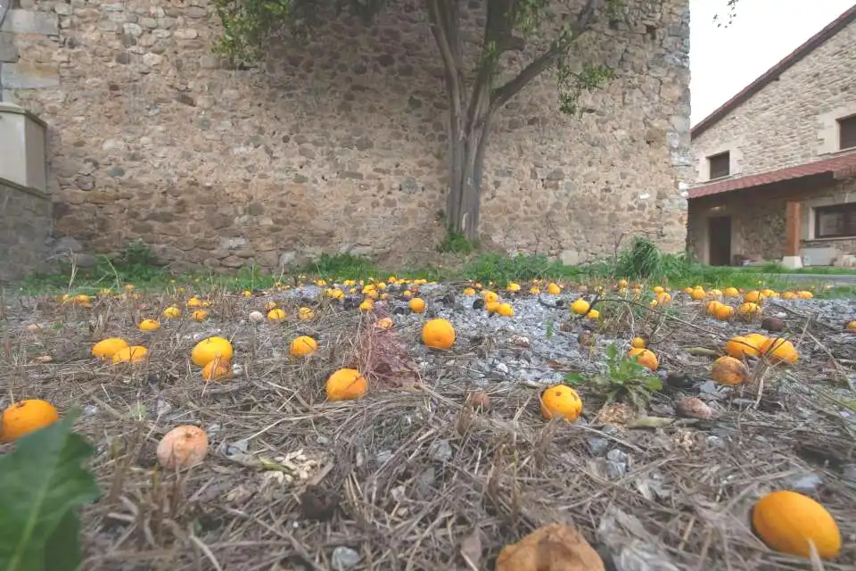 Casa amb terrassa en venda a Barrio Llaino Corvera, imagen 31