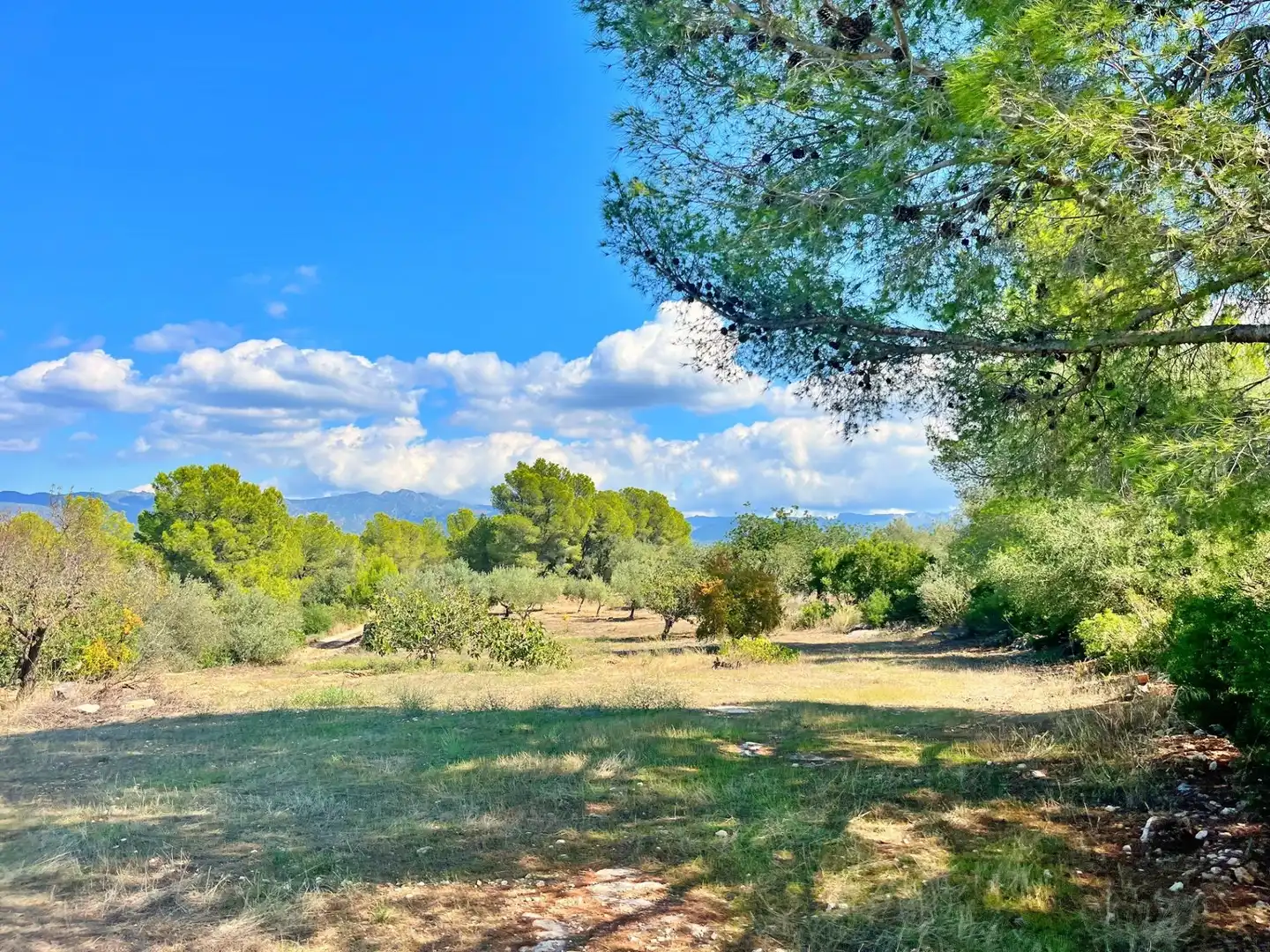 Houses for sale in Aldover