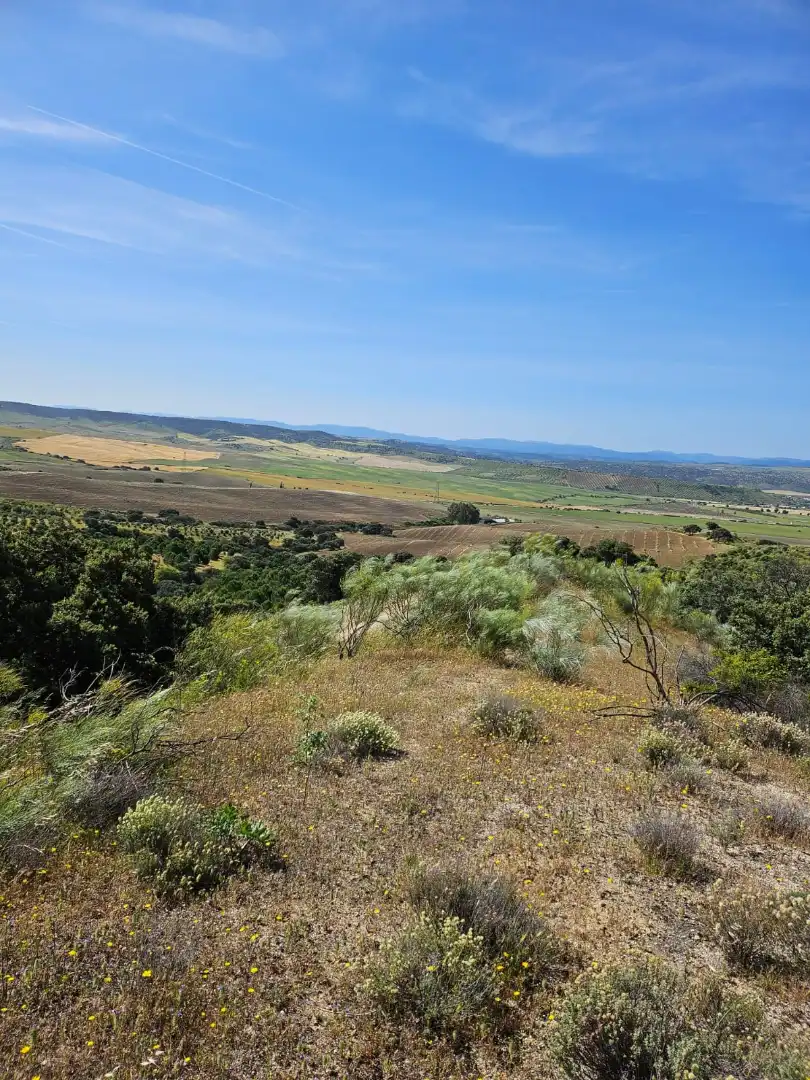Terreno rustico in vendita a Las Herencias, imagen 7