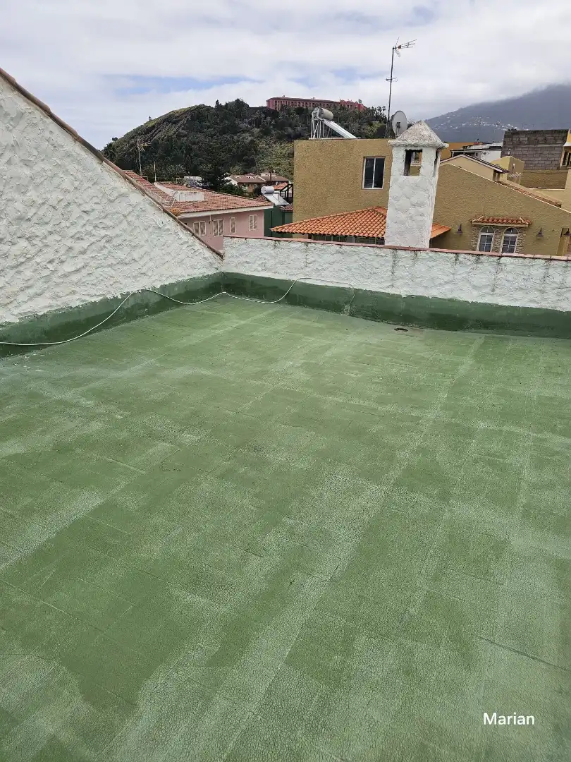 House with terrace to rent in Longuera - Toscal, imagen 31