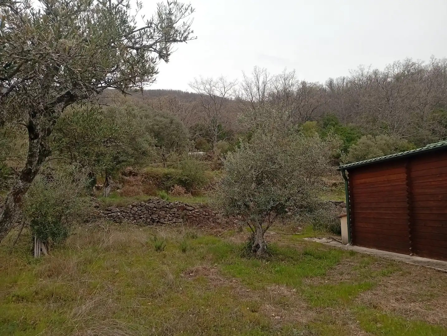 Terreni e lotti in vendita a Valverde de la Vera, imagen 6