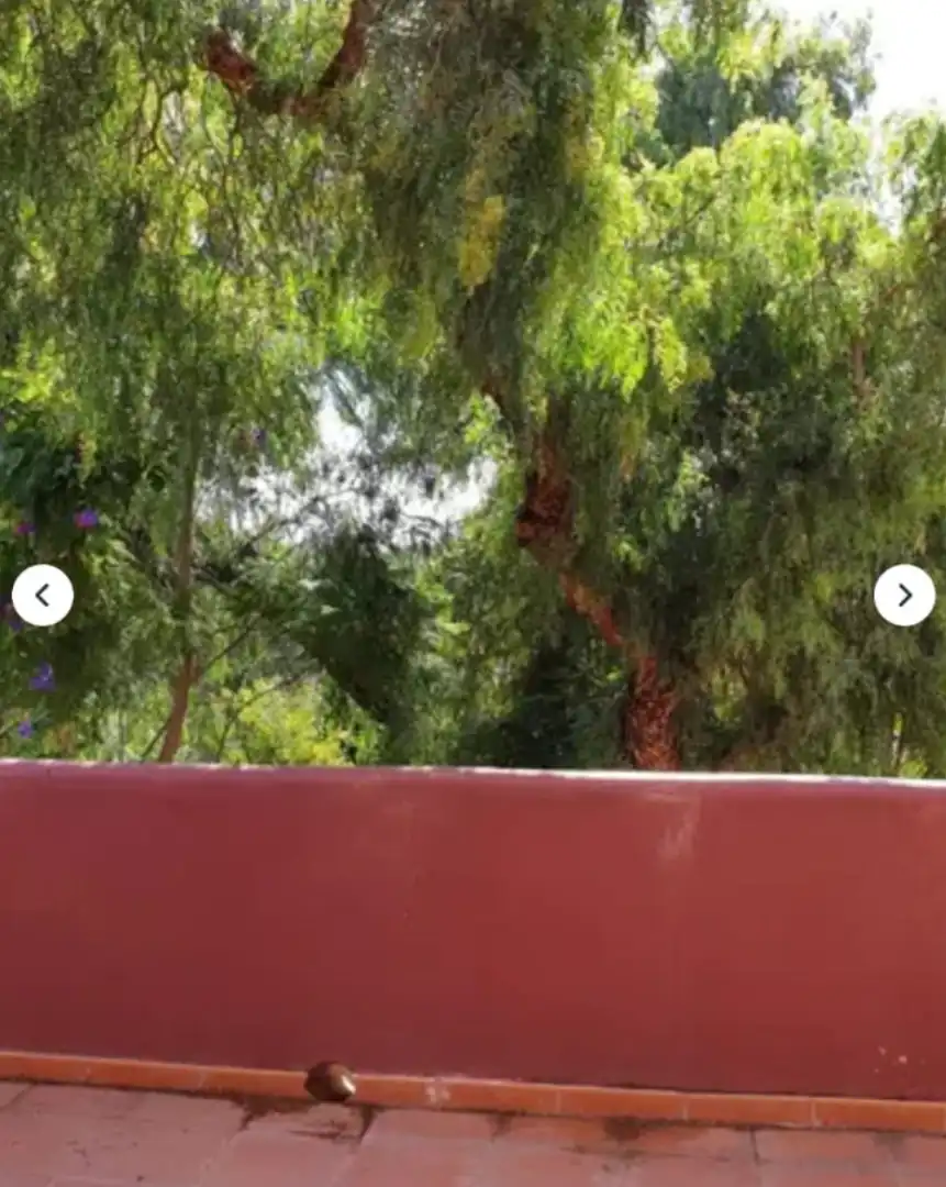 Jardí de Pis de lloguer en Marbella amb Moblat