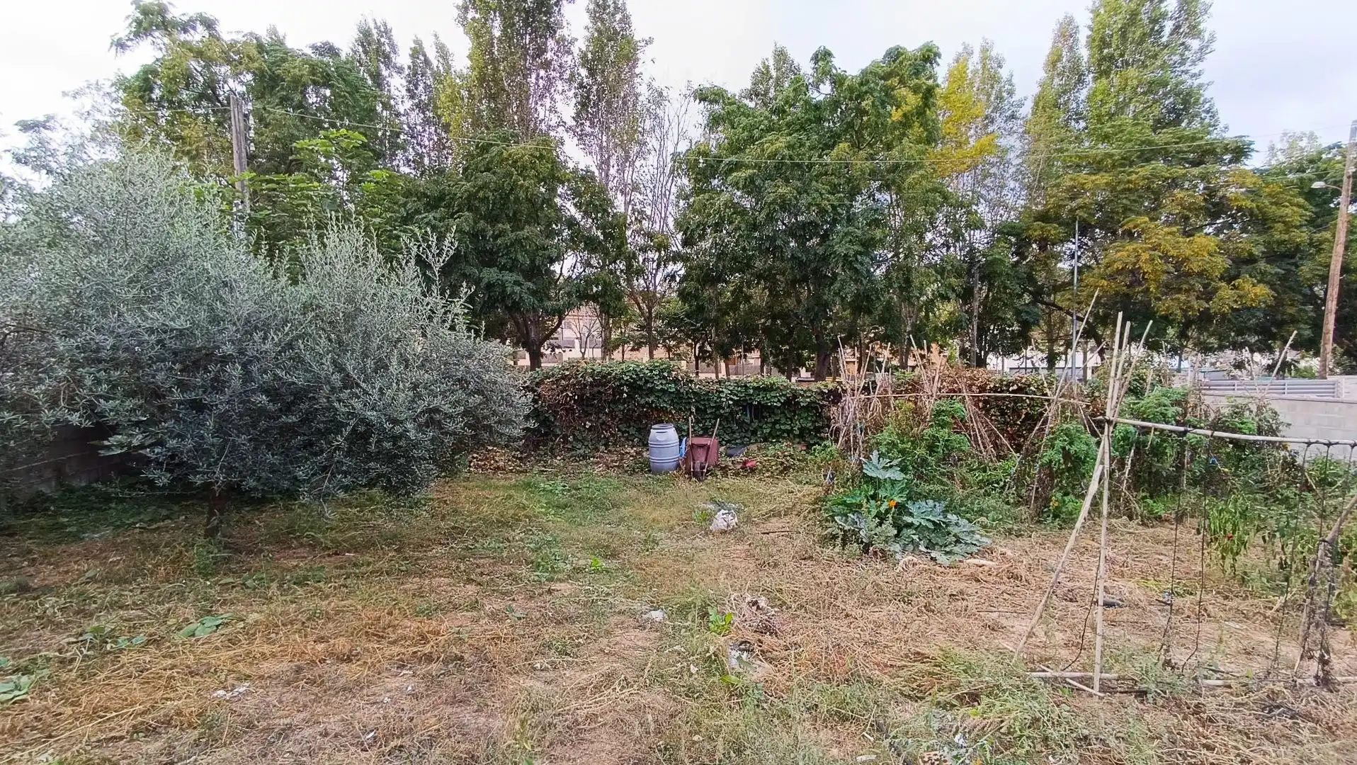 Terreno residencial en venta en Canyelles, imagen 4