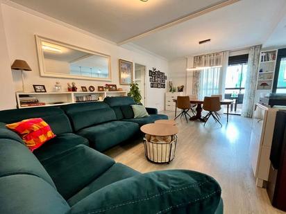 Living room of Flat for sale in Ciudad Real Capital  with Air Conditioner, Heating and Private garden
