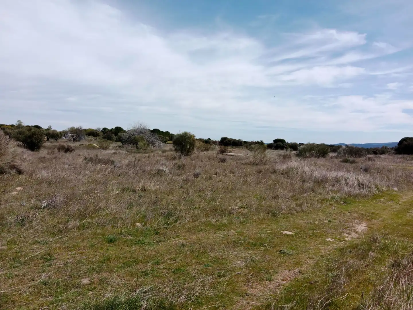 Terreno rustico in vendita a Camino Barzales, imagen 13