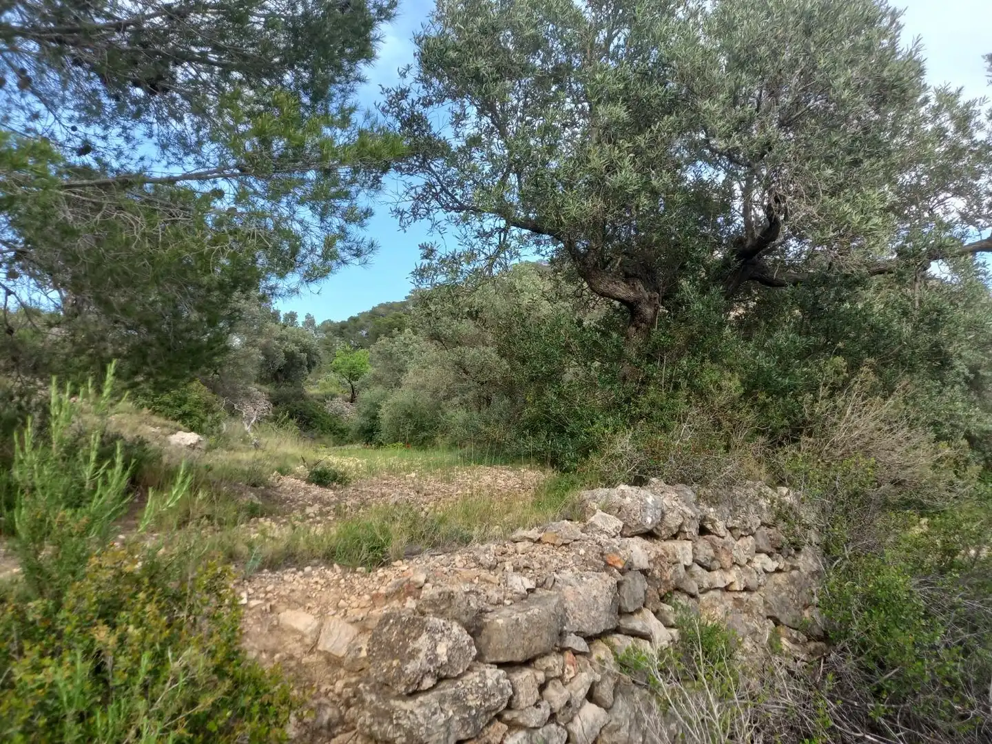 Rural land for sale in El Pinell de Brai, imagen 7