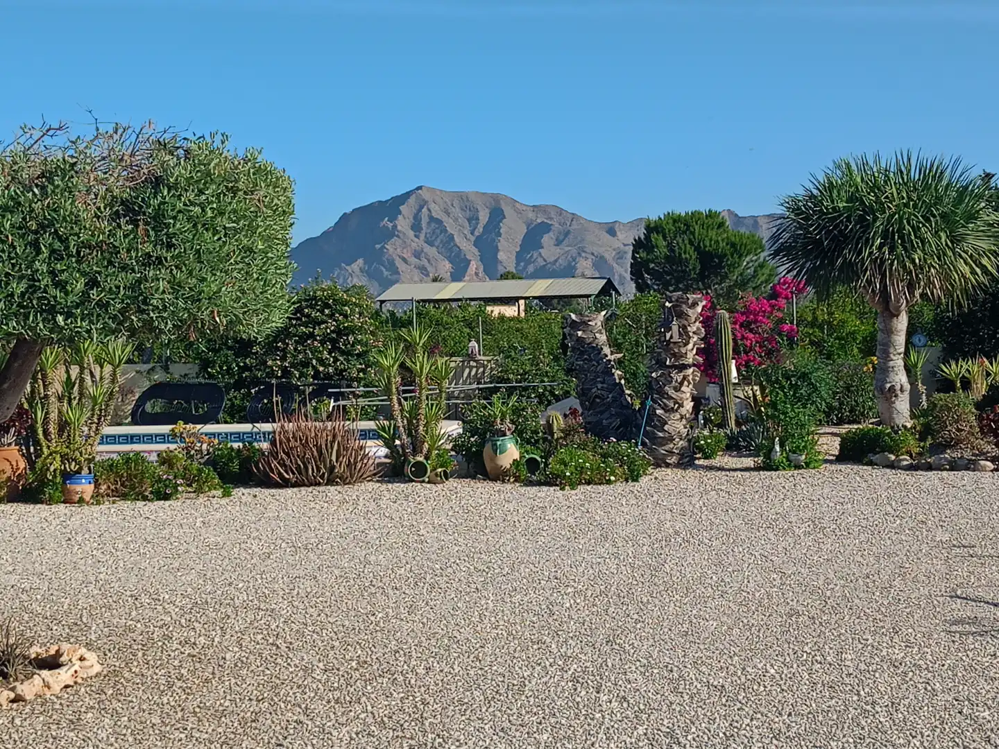 Jardín de Casa o chalet en venta en Jacarilla con Jardín privado, Terraza y Piscina