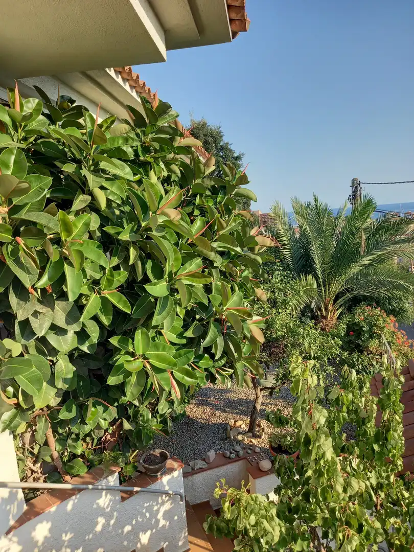 Jardí de Casa o xalet en venda en Sant Feliu de Guíxols amb Jardí privat, Piscina i Moblat