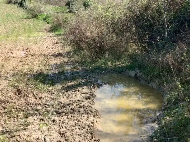 Rustikales Grundstück zum Verkauf in Rebato 1, imagen 7