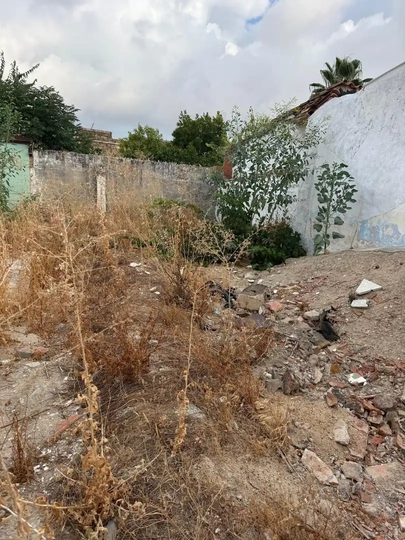 Lands and plots for sale in Olivenza, imagen 2
