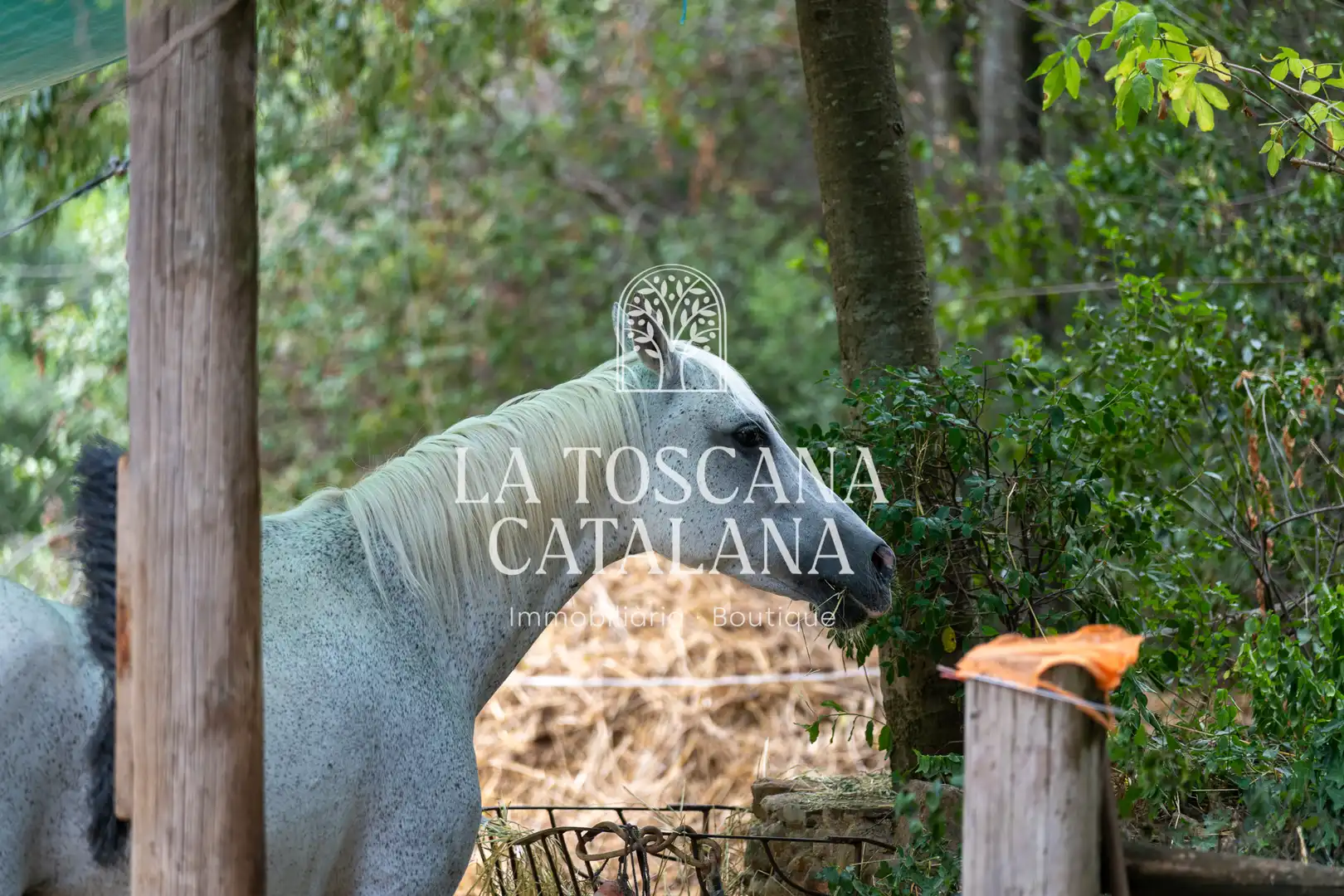 Jardín de Finca rústica en venta en Sales de Llierca con Aire acondicionado, Calefacción y Jardín privado