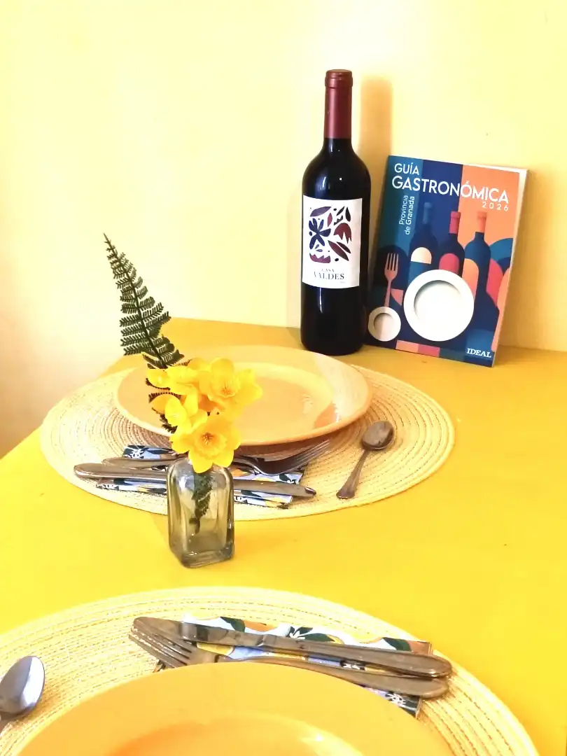 Apartments for rent in Granada  with Air Conditioner, Heating and Furnished
