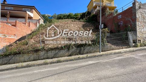 CALLE TRANQUILA, immagine 2