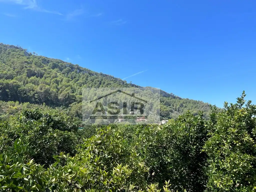 Casa o xalet en venda en Alzira