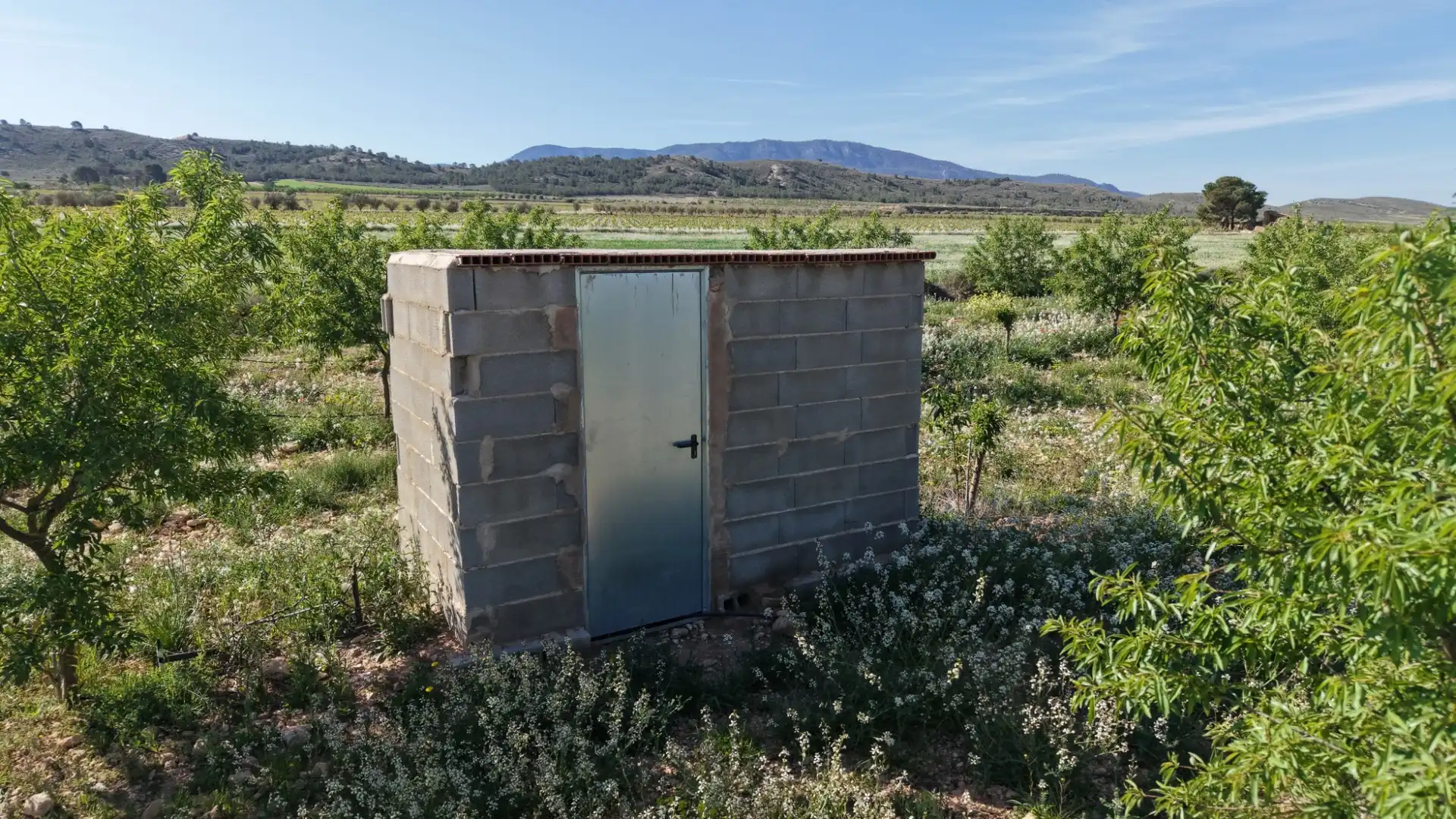 Residential land for sale in Yecla, imagen 8