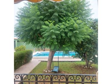Chalet en venta en El Grao