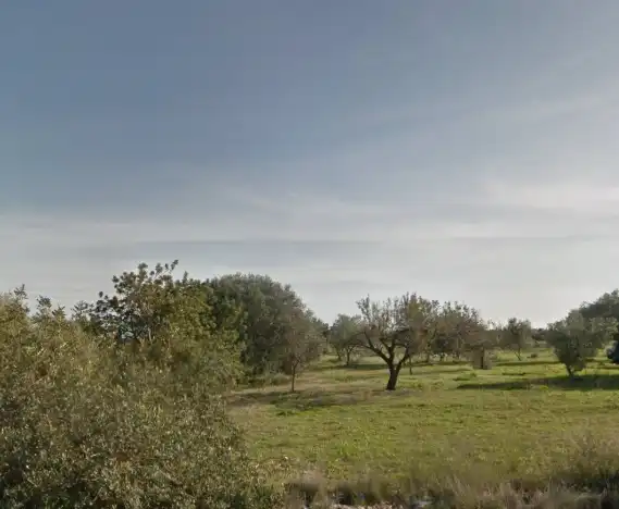 Casa o chalet en venta en Vinaròs