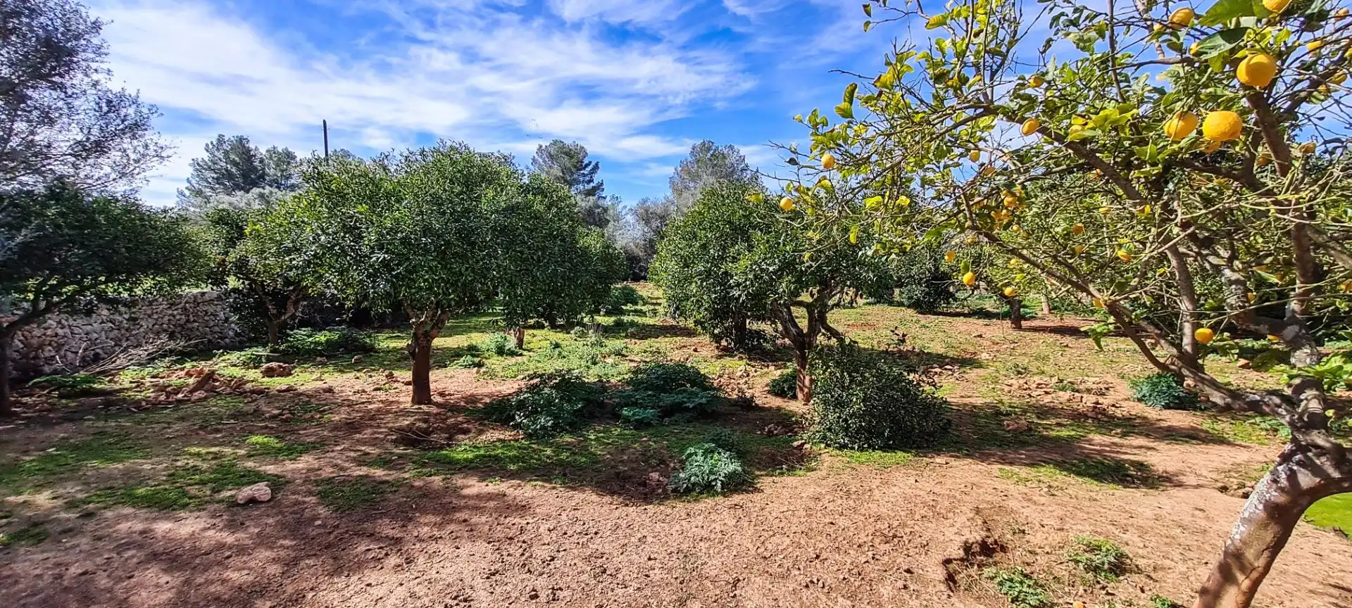 Casa rústica con jardín en venta en Sineu, imagen 25
