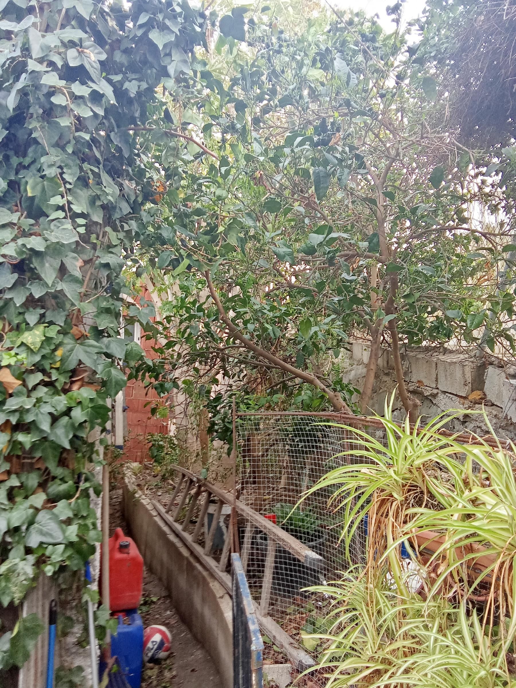 Jardí de Finca rústica en venda en Motril amb Traster