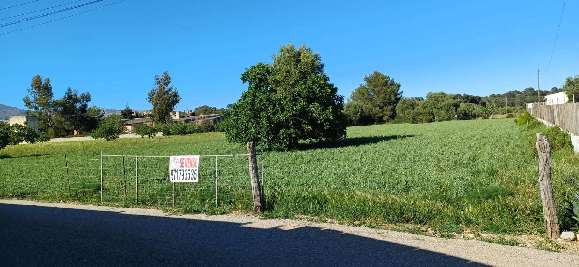 Land for sale in Búger