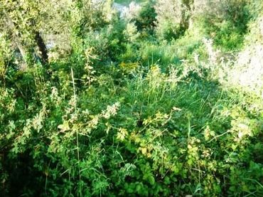 Terreni e lotti in vendita a Santa Maria de Palautordera