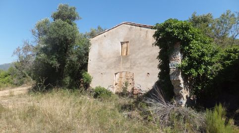 MAS DE LES ALZINES, immagine 5