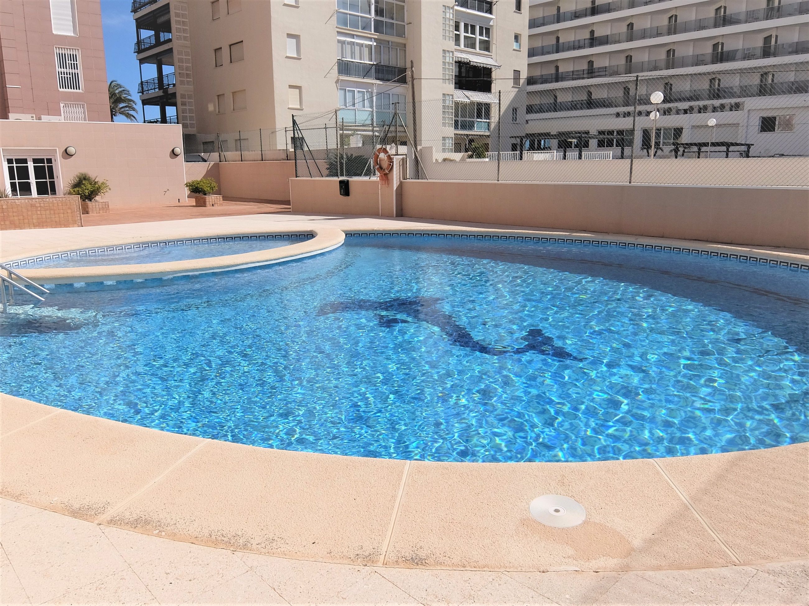 Piscina de Apartamento de alquiler en Gandia con Terraza, Amueblado y Horno