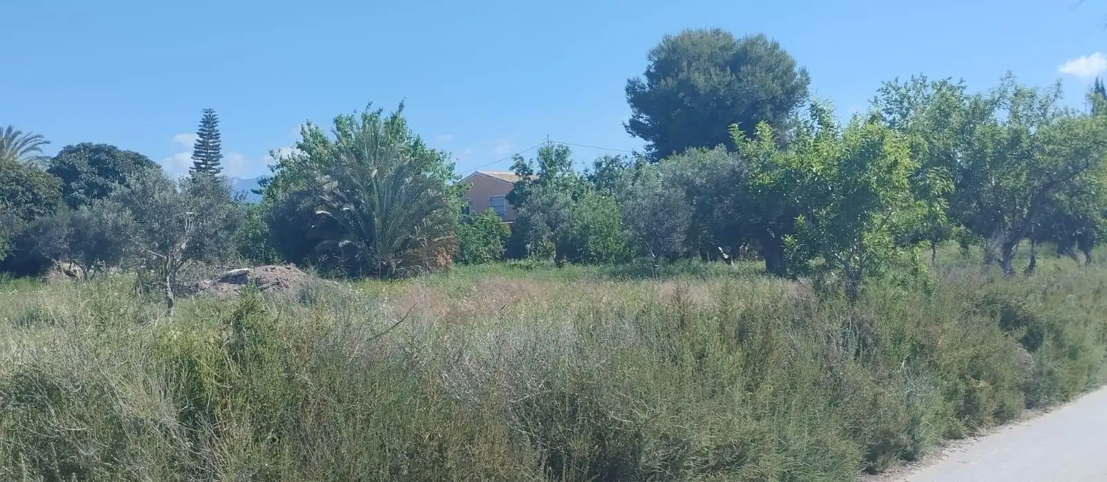 Terreno rustico in vendita a La Huerta, imagen 4