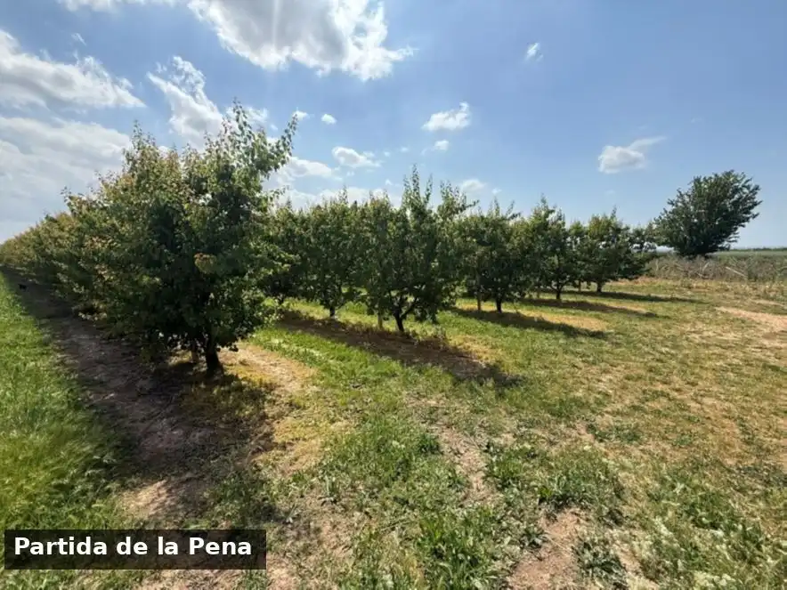 Terreno en venta en Puigverd de Lleida, Lleida