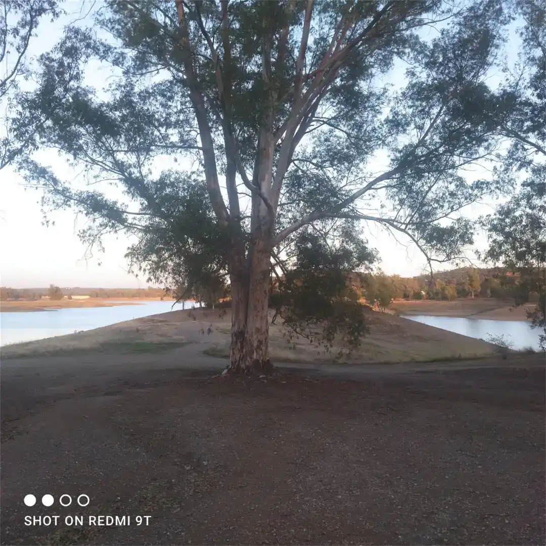 Vista exterior de Planta baixa en venda en Guillena amb Aire condicionat, Jardí privat i Parquet