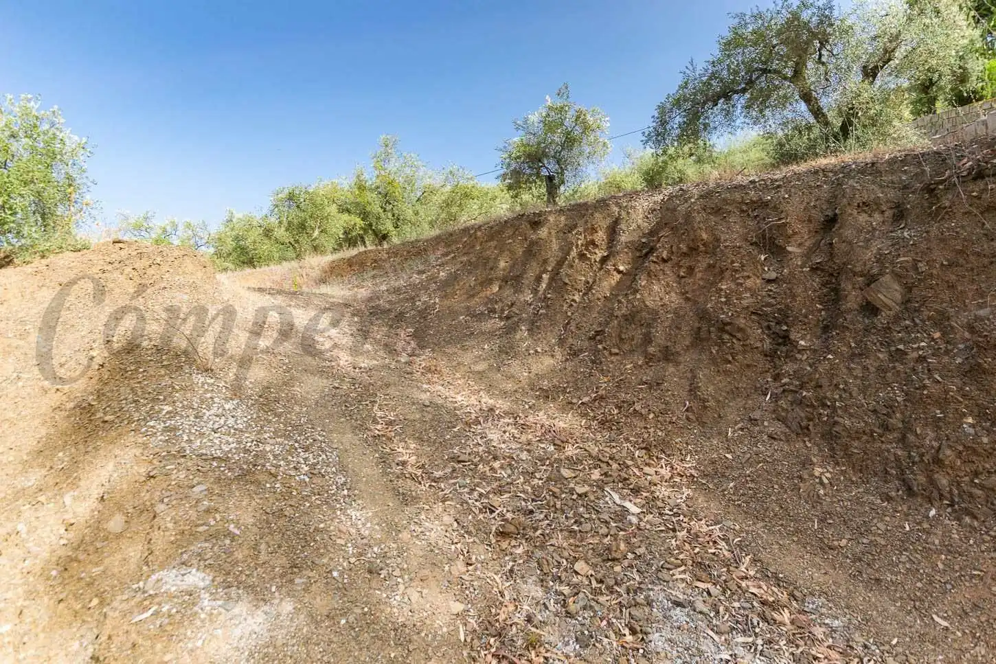 Terreny rústic en venda a Canillas de Albaida, imagen 4