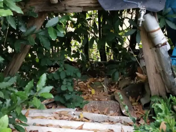 Casa rústica en venda a LU-P-5807 28, imagen 21