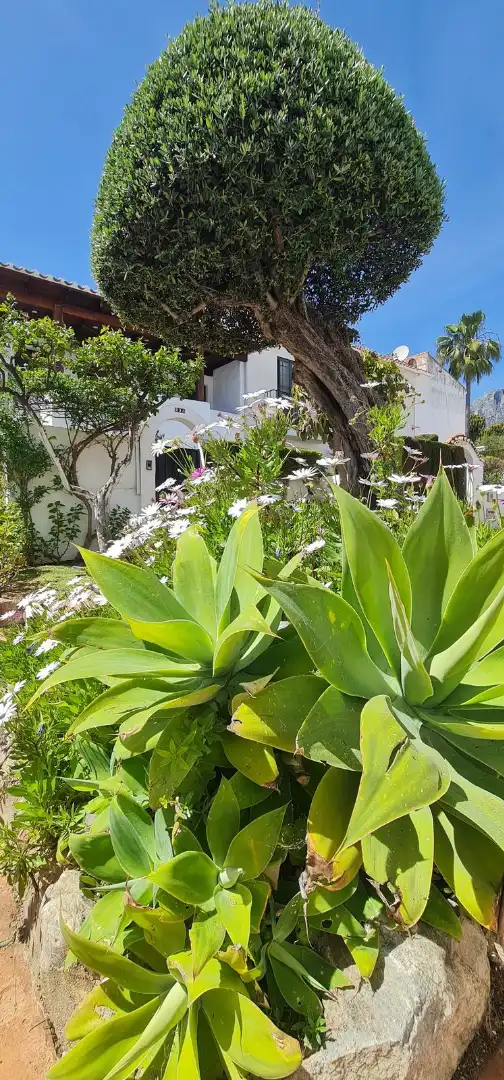 Piso en venta en Calle Bermeja 20, imagen 49