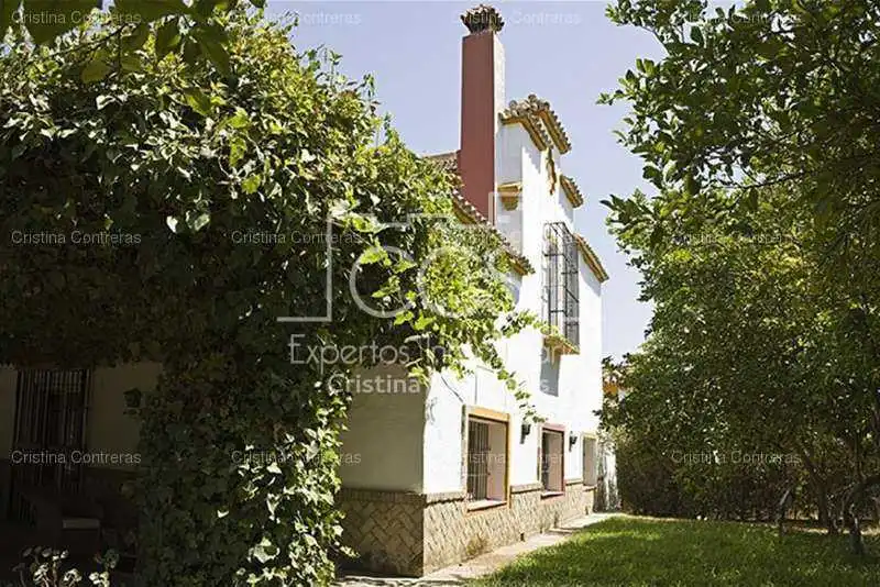 Vista exterior de Finca rústica en venta en Alcalá de Guadaira con Jardín privado y Piscina