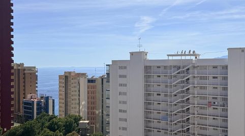 Foto 5 de Estudi en venda a Rincón Alto, Benidorm