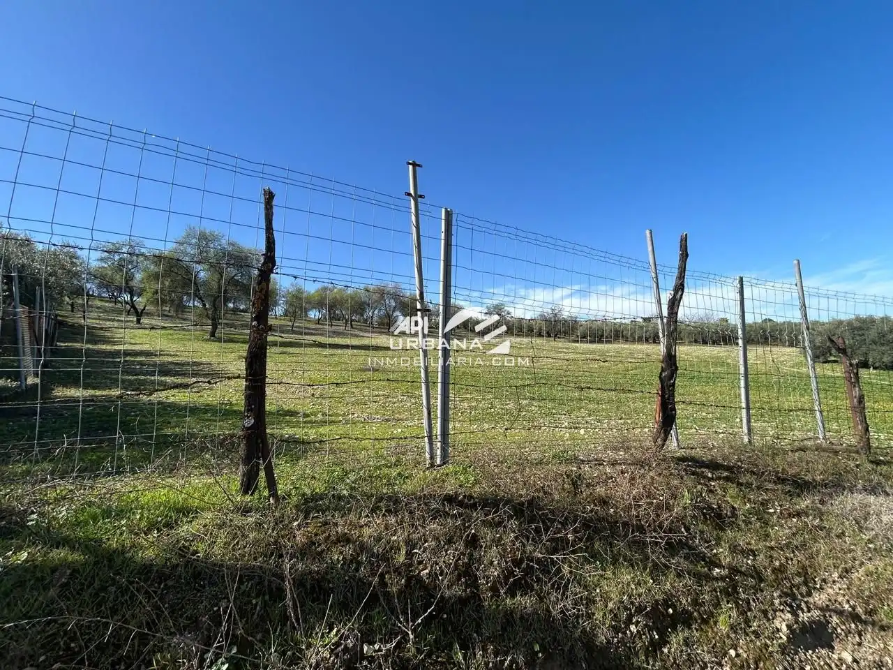 Residencial en venda en Lucena