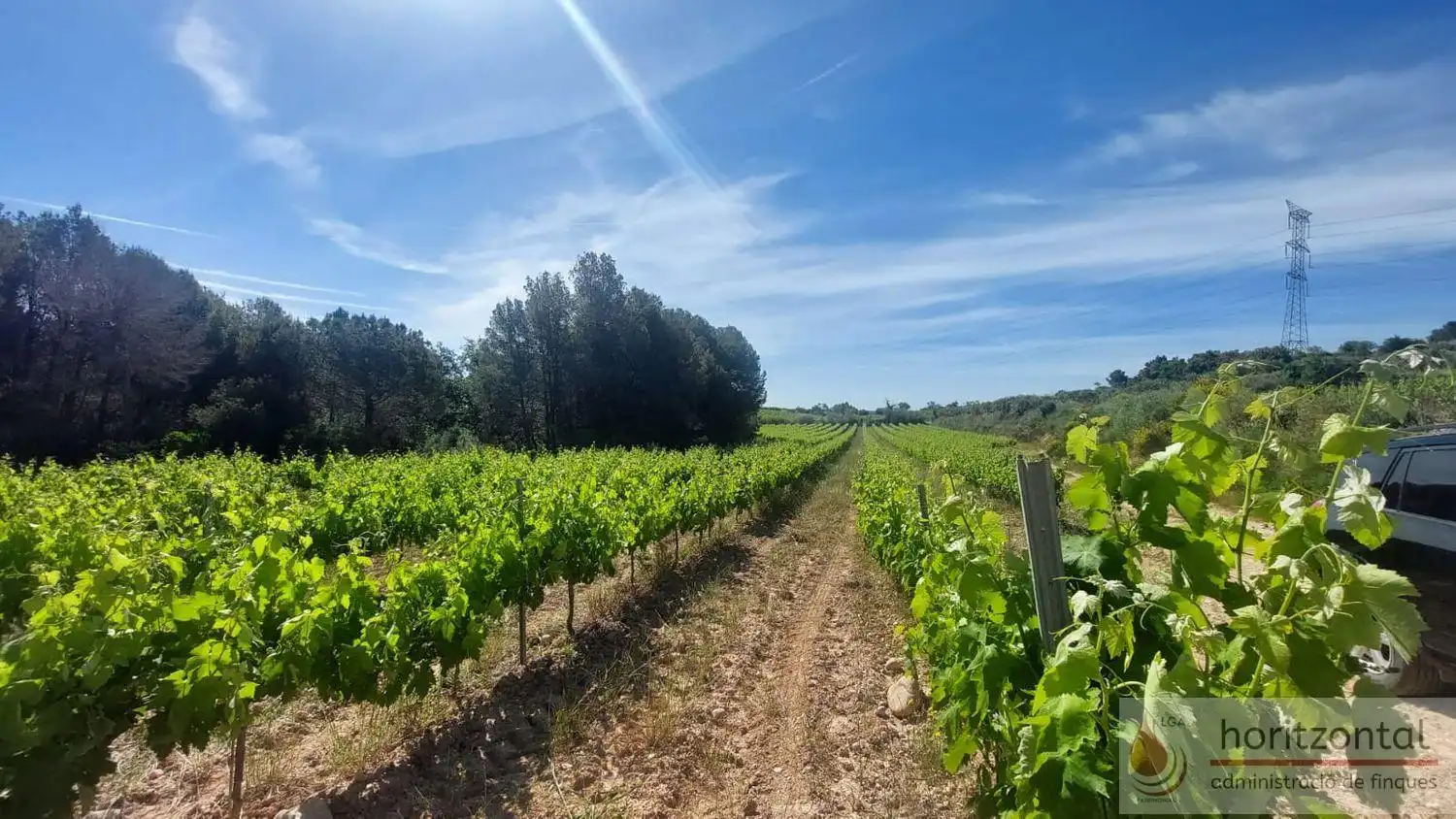 Terrenys i solars en venda a Sant Quintí de Mediona, imagen 10