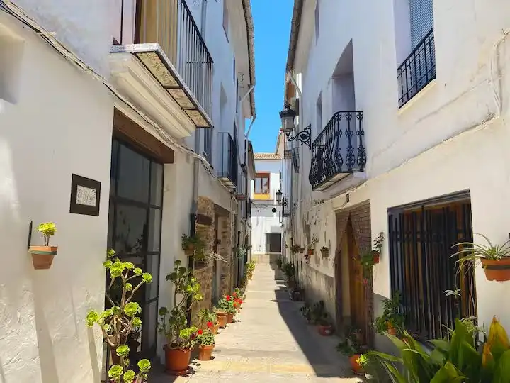 Exterior view of Flat for rent in Algar de Palància  with Heating, Terrace and Furnished