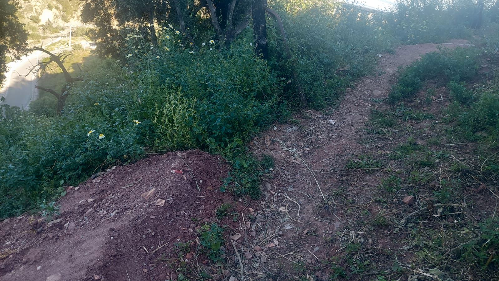 Terreno en venta en Málaga Capital
