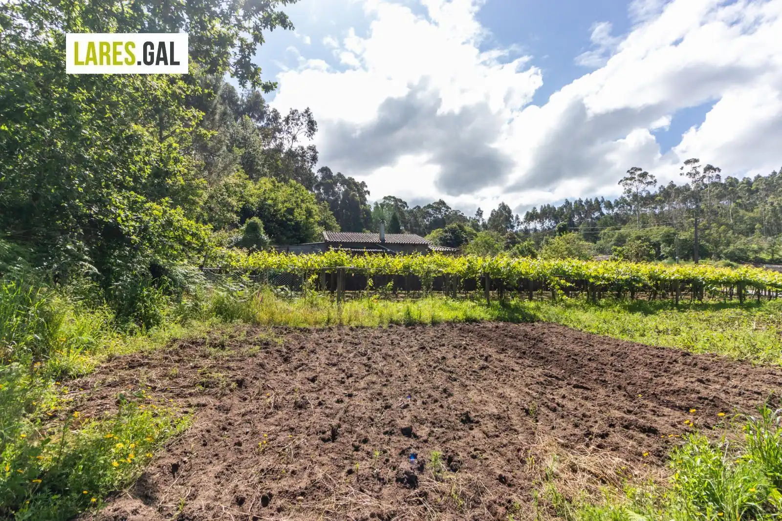 Lands and plots for sale in Rúa Herbello a Magdalena, imagen 9