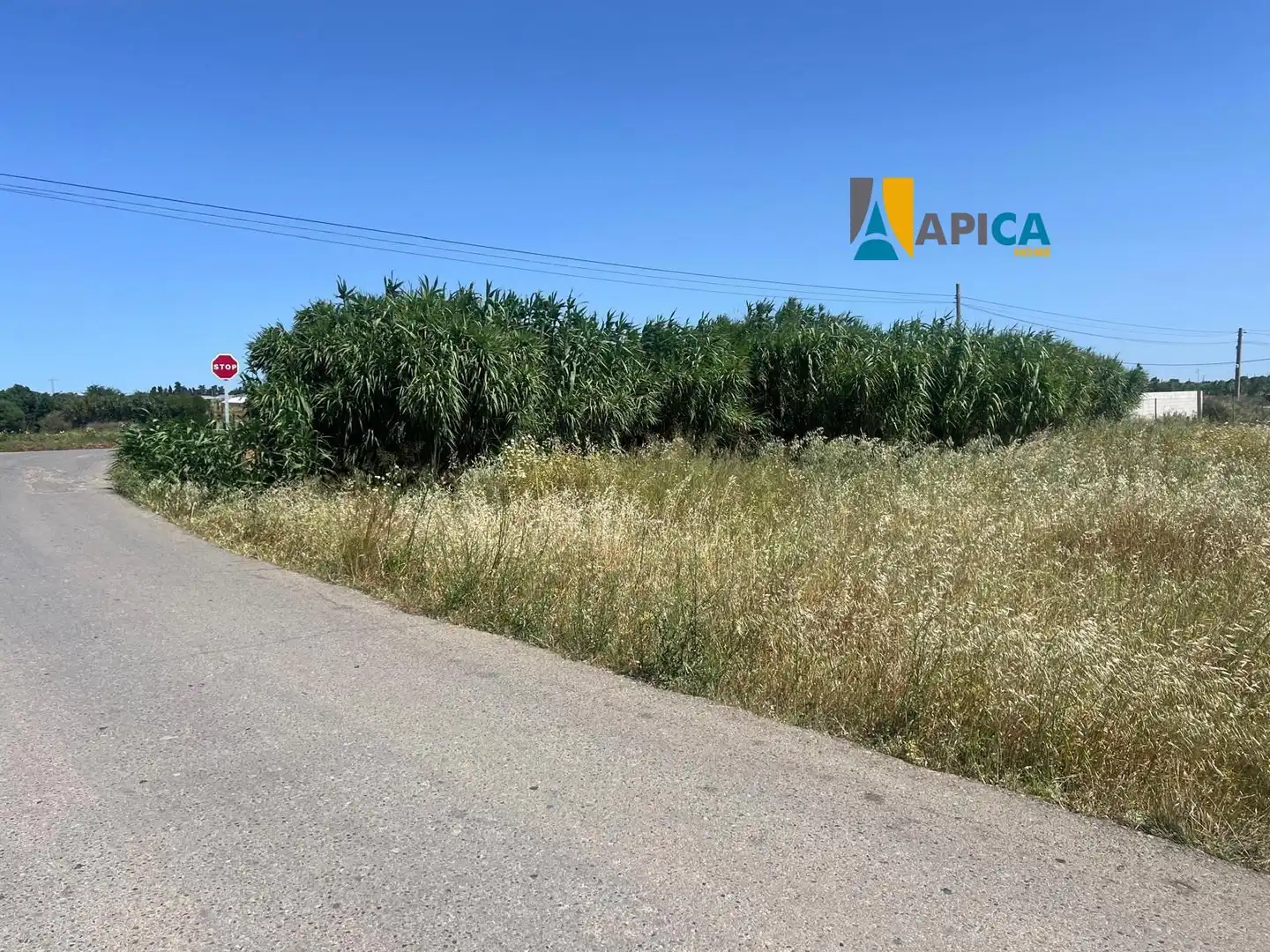 Rural land for sale in Barrio Nuevo, imagen 10