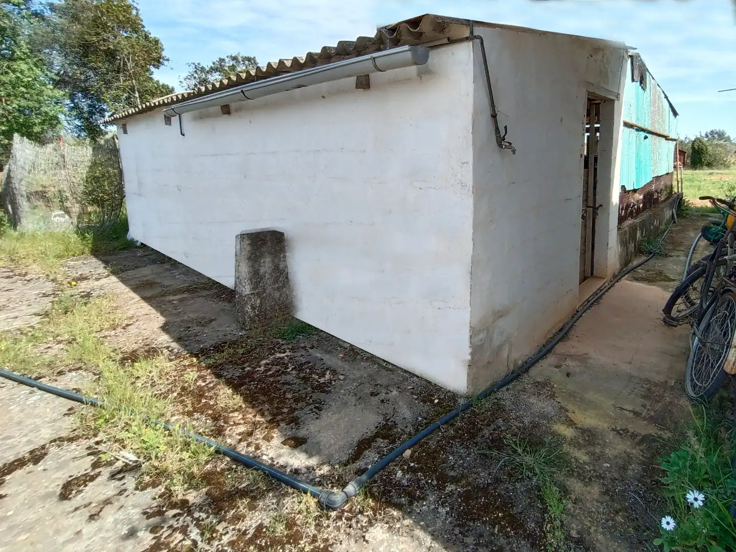 Villa con piscina in vendita a Binissalem, imagen 39