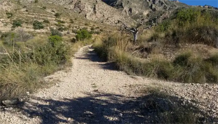 Lands and plots for sale in Pje Herrada del Chícamo, imagen 7