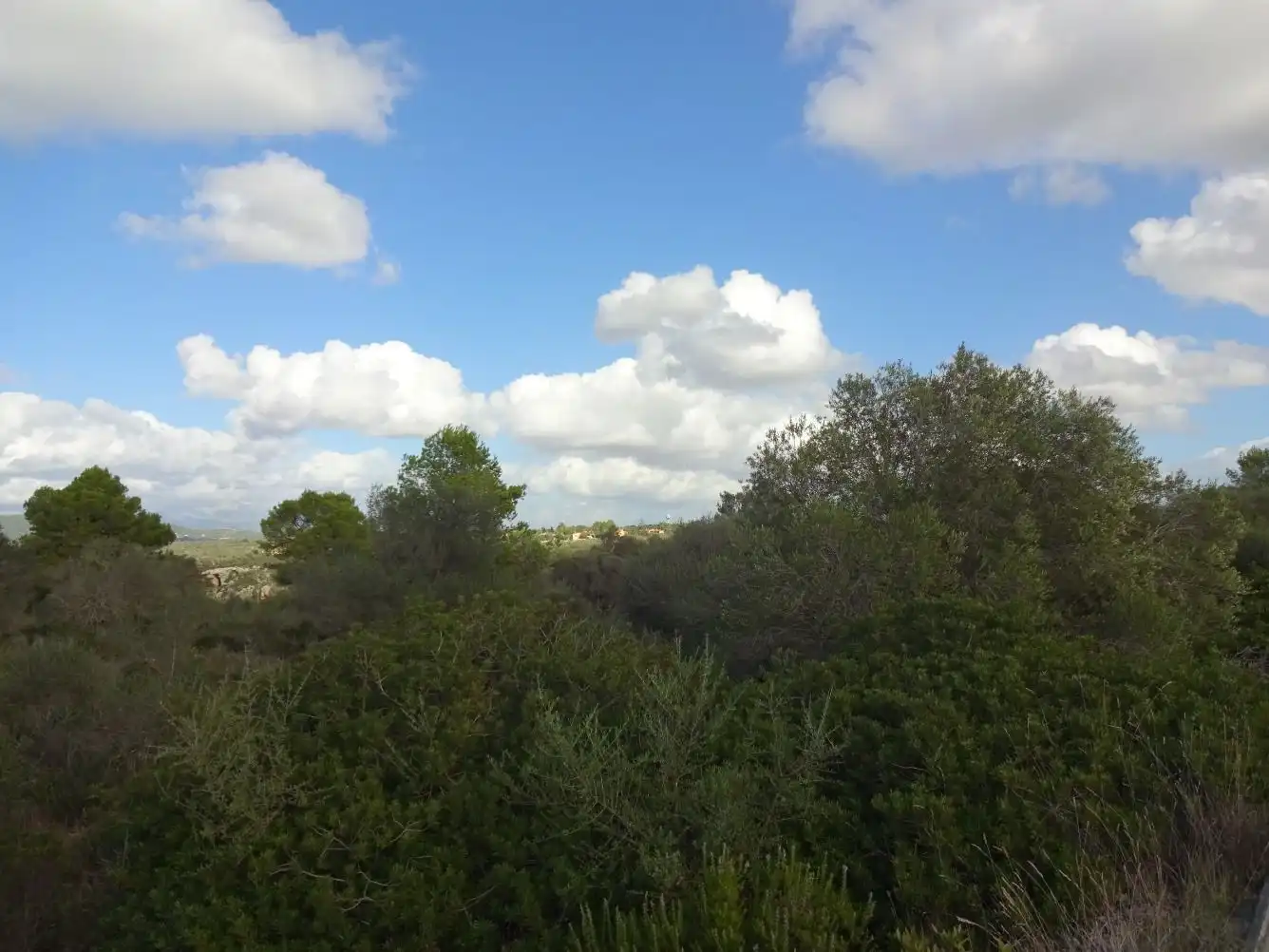Terreny residencial en venda a Llevant, imagen 4