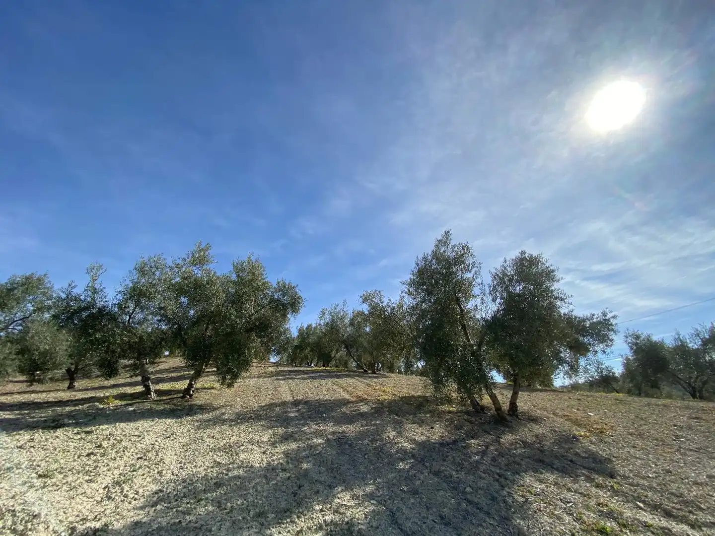 Terreno en venta en Villanueva Mesía