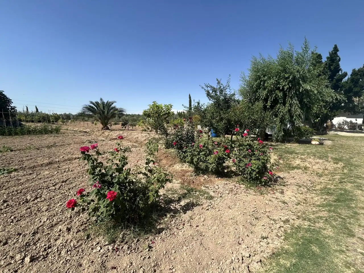 Country homes for sale in Corella  with Private garden, Terrace and Storage room