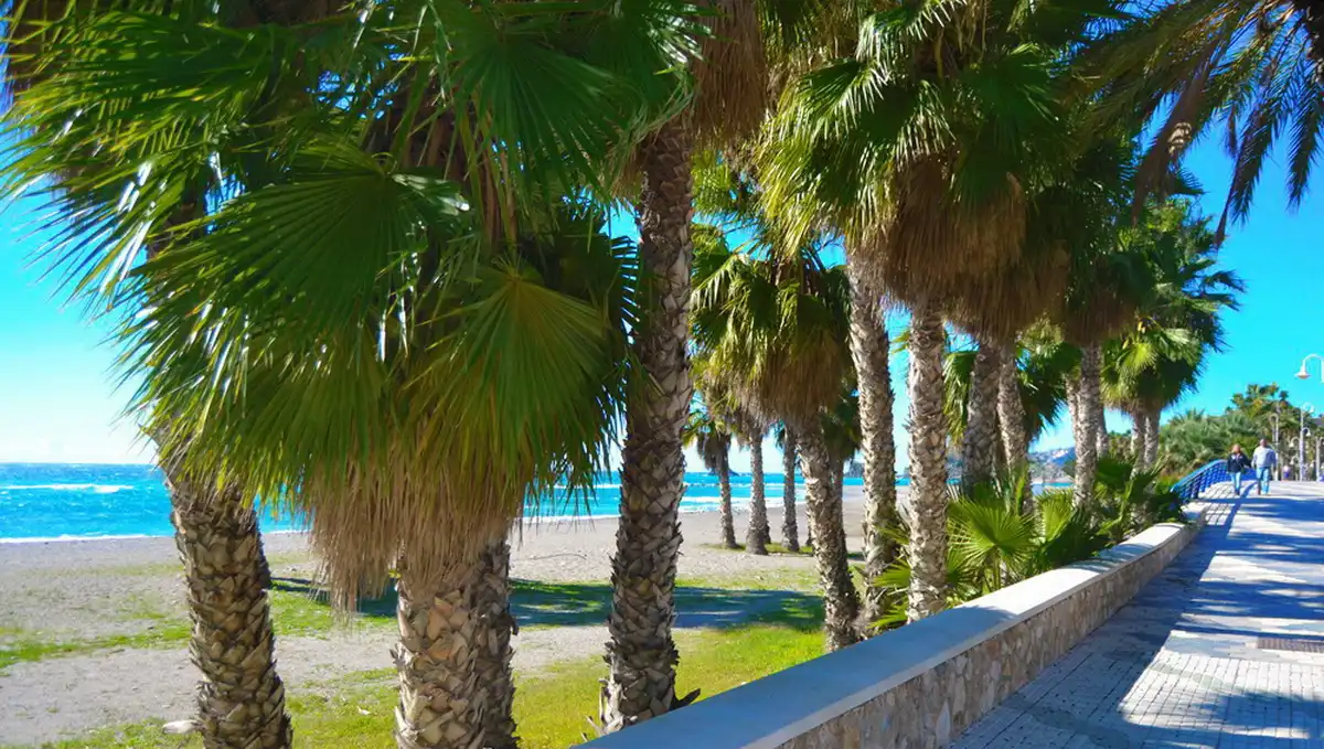 Exterior view of Flat for rent in Almuñécar  with Furnished